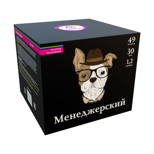 Менеджерский (1.2*49)